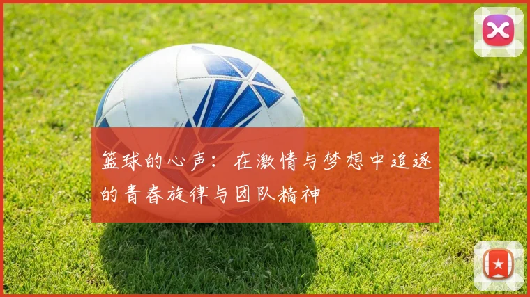 篮球的心声：在激情与梦想中追逐的青春旋律与团队精神