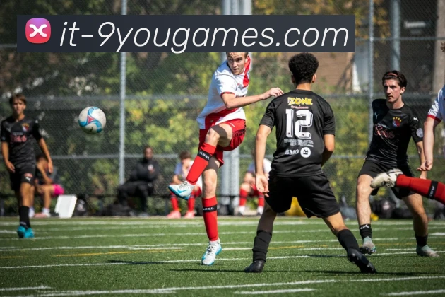 九游唯一平台生态图